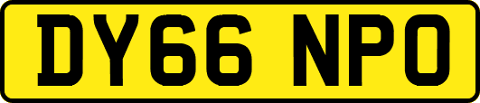 DY66NPO