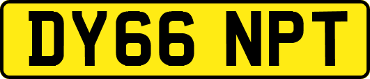 DY66NPT