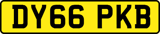 DY66PKB