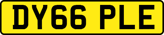 DY66PLE