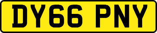 DY66PNY