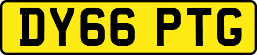 DY66PTG