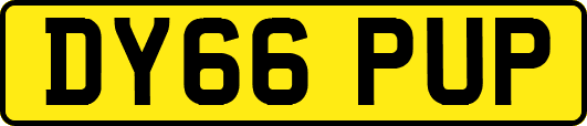 DY66PUP