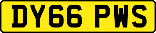 DY66PWS