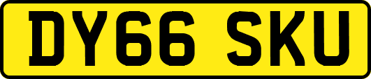 DY66SKU