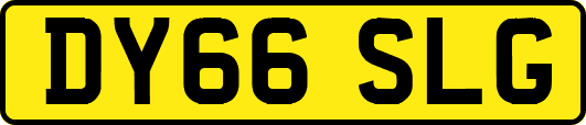DY66SLG