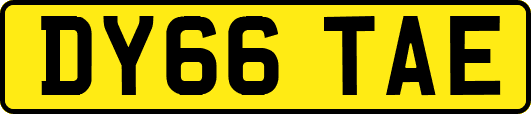 DY66TAE