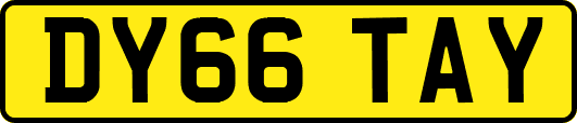 DY66TAY