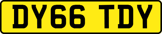 DY66TDY