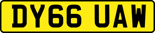 DY66UAW