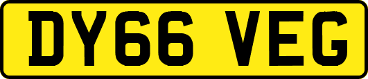 DY66VEG