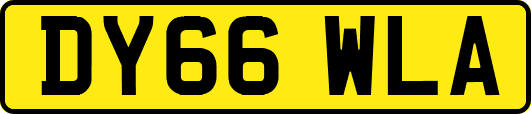 DY66WLA