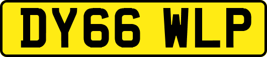 DY66WLP