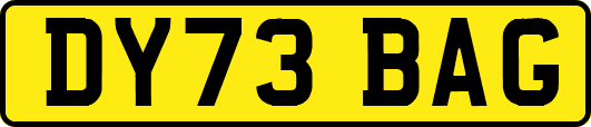 DY73BAG