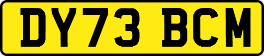 DY73BCM
