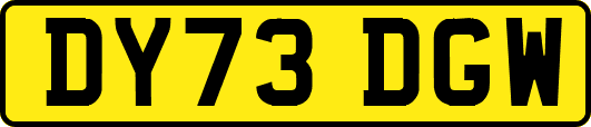 DY73DGW