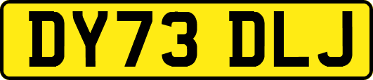 DY73DLJ