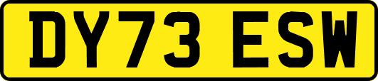 DY73ESW