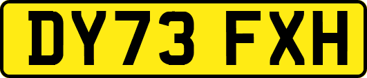 DY73FXH