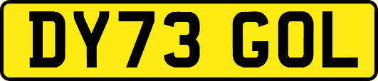 DY73GOL