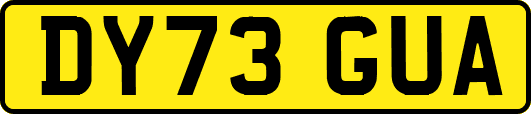 DY73GUA