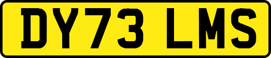 DY73LMS