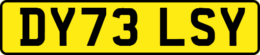 DY73LSY