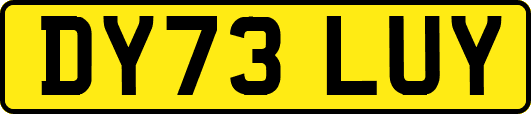 DY73LUY