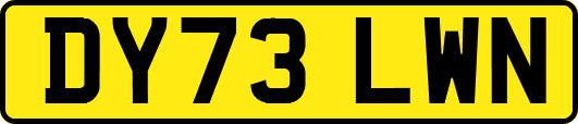 DY73LWN