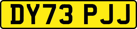 DY73PJJ
