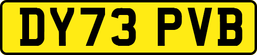 DY73PVB