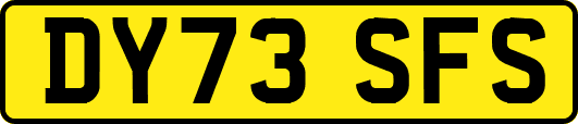 DY73SFS