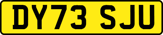 DY73SJU