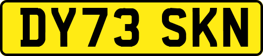 DY73SKN