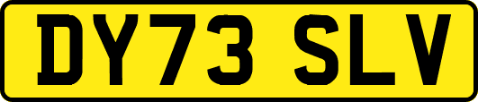 DY73SLV