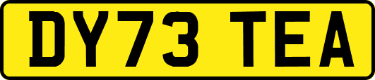 DY73TEA