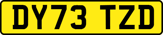 DY73TZD