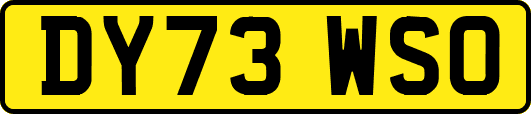 DY73WSO