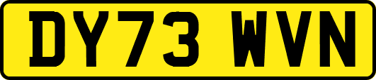 DY73WVN