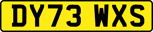 DY73WXS