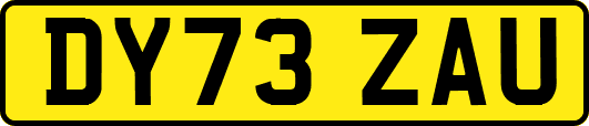 DY73ZAU