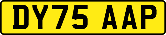 DY75AAP