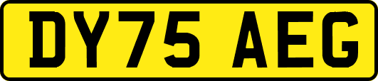 DY75AEG