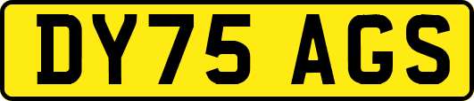 DY75AGS