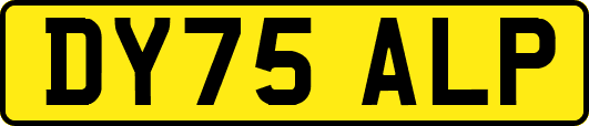 DY75ALP