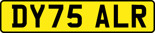 DY75ALR