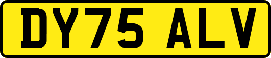 DY75ALV