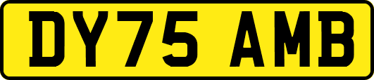 DY75AMB