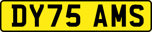 DY75AMS