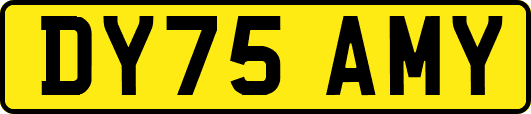 DY75AMY
